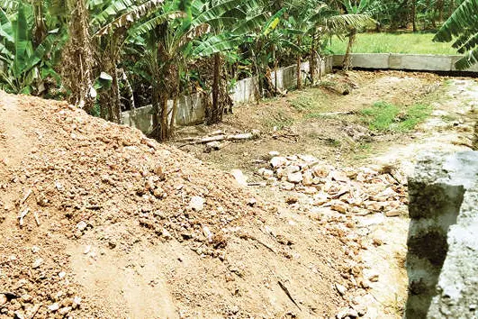 ബൈപ്പാസ് മേഖലയിൽ മണ്ണുമാഫിയ വീണ്ടും സജീവം