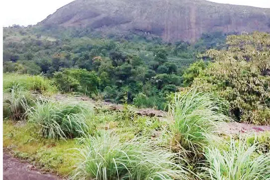 വണ്ണപ്പുറത്തിന് വേണം... വിനോദത്തിലൂടെ വികസനം