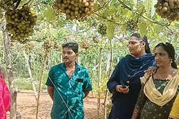 പാമ്പാടിയിൽ പാർക്കാൻ മുന്തിരിത്തോപ്പുകൾ