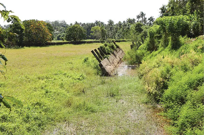 മുടിച്ചിറയിൽ വേണം മുടങ്ങാതെ വെള്ളം
