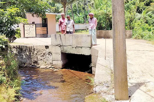 എച്ചിപ്പാറ തോട് സംരക്ഷിക്കണം,ഷട്ടർ സ്ഥാപിക്കണം