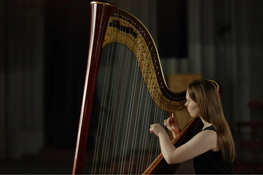Word of the Day, September 19: ‘Harp’