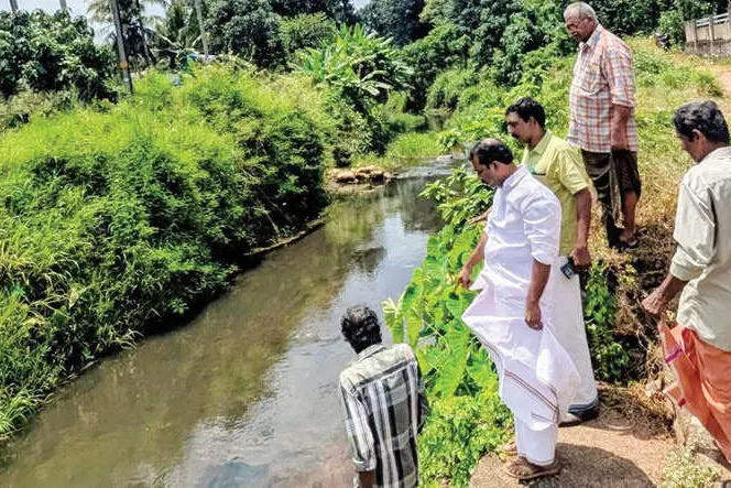 തോട്ടുകര പാടം പച്ചപുതയ്ക്കും; ജലസേചനസൗകര്യമൊരുക്കും -എം.എൽ.എ.
