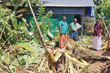 വീണ്ടും കാട്ടാനശല്യം രൂക്ഷം; എത്തിയത് വീടുകൾക്കരികെ