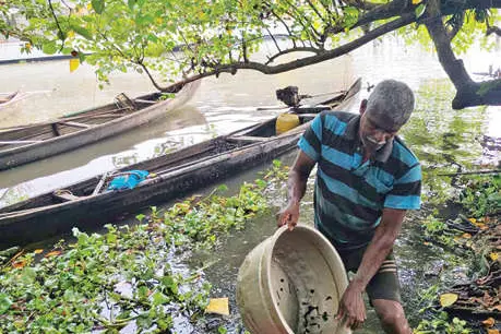 ലഭ്യത കുറഞ്ഞു; കക്കവാരൽ തൊഴിലാളികൾ പ്രതിസന്ധിയിൽ