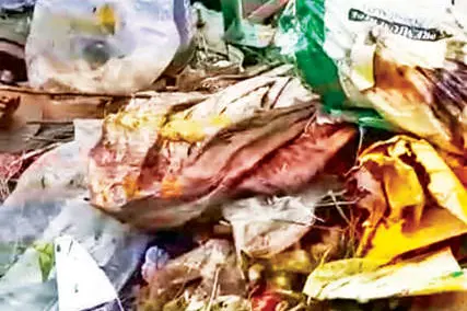 മാലിന്യമടിഞ്ഞ് വൈദ്യുതി ഉത്പാദനം പ്രതിസന്ധിയിൽ