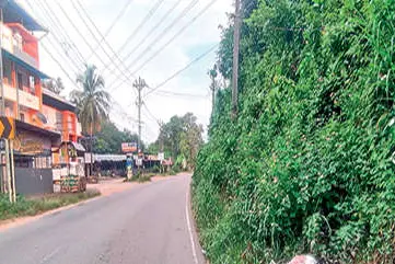 ഇടമണിൽ ദേശീയപാതയോരത്തെ കാട് നീക്കംചെയ്യുന്നില്ല
