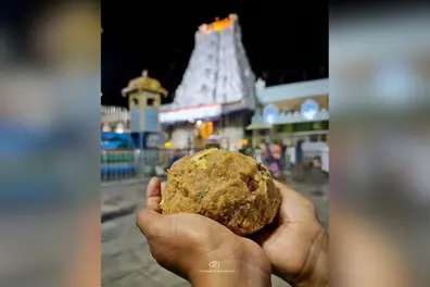 Tirupati laddu probe: ED names palm oils and chemicals in alleged ghee adulteration