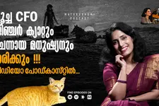 മുംബൈ മെട്രോ പൂച്ചയും സ്പാനിഷ് വുൾഫ് ബോയിയും: കൗതുകകരമായ കഥകൾ