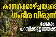 കടുവയെ തേടിയുള്ള യാത്ര, കാടിനുള്ളിലെ താമസം I പറമ്പിക്കുളം എന്ന വിസ്മയം | Parambikulam