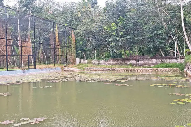 ഉദ്ഘാടനം ചെയ്തു, പൂട്ടിട്ടു...; ഉപയോഗിക്കാനാകാതെ നീന്തൽക്കുളവും കളിസ്ഥലവും