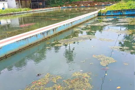 നീന്തിക്കയറാൻ ആളുണ്ട്