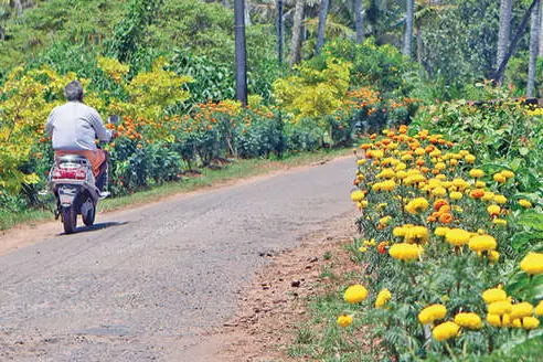 വഴിക്കിലിച്ചിറയുടെ മുഖം മാറ്റി റെസിഡന്റ്സ് അസോ.