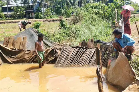 രണ്ടാംവിളയ്ക്ക് വെള്ളം വേണം; തോട്ടിൽ തടയണ തീർത്ത് കർഷകർ