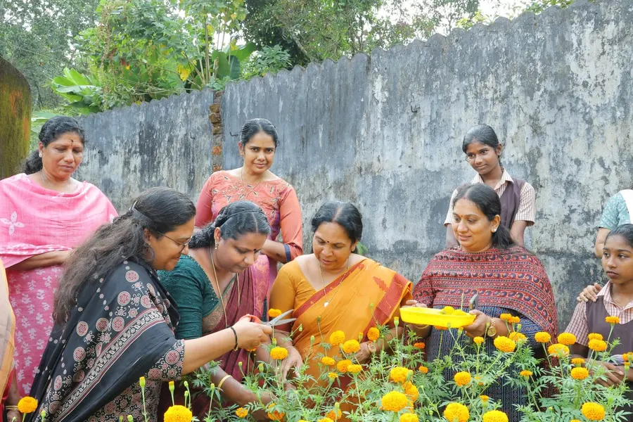സ്കൂൾമുറ്റത്ത് ചെണ്ടുമല്ലികൃഷി