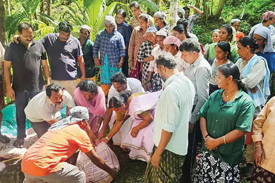 വരൾച്ചാ പ്രതിരോധം: മുള്ളൻകൊല്ലിയിൽ തടയണനിർമാണം ആരംഭിച്ചു