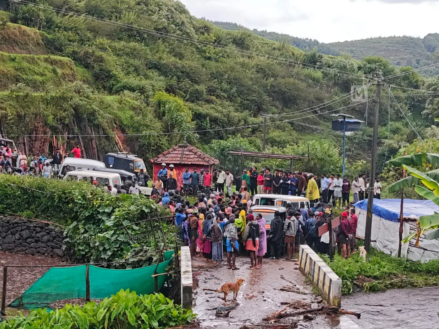 Locals and rescue workers at the accident site | Mathrubhumi