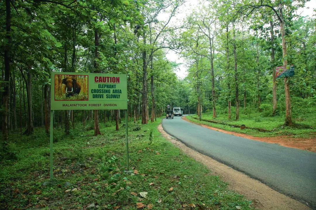 Representative Image: Anu Prasanth/ Mathrubhumi
