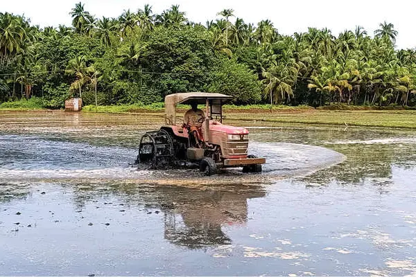 മുണ്ടകൻ കൃഷിക്കായി കുട്ടാടം പാടങ്ങൾ ഒരുങ്ങി