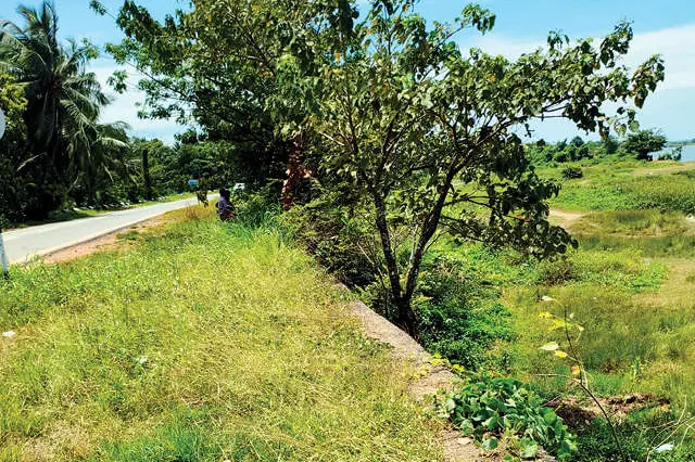 പുൽക്കാട് കയറി പൊന്നാനി കർമ്മ നിളയോരപാത