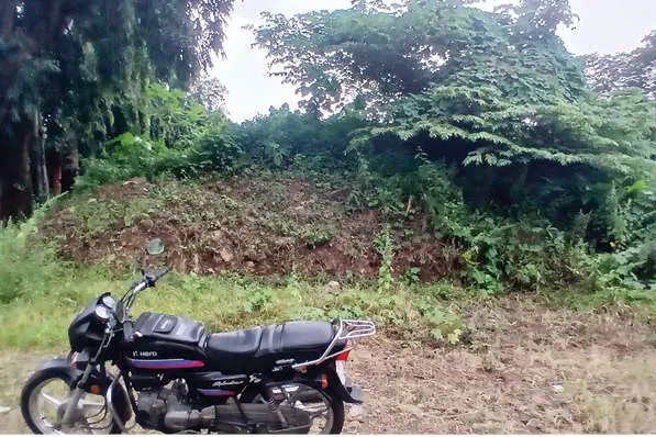 നീക്കാത്ത മൺകൂനയിൽകാടുവളർന്നു