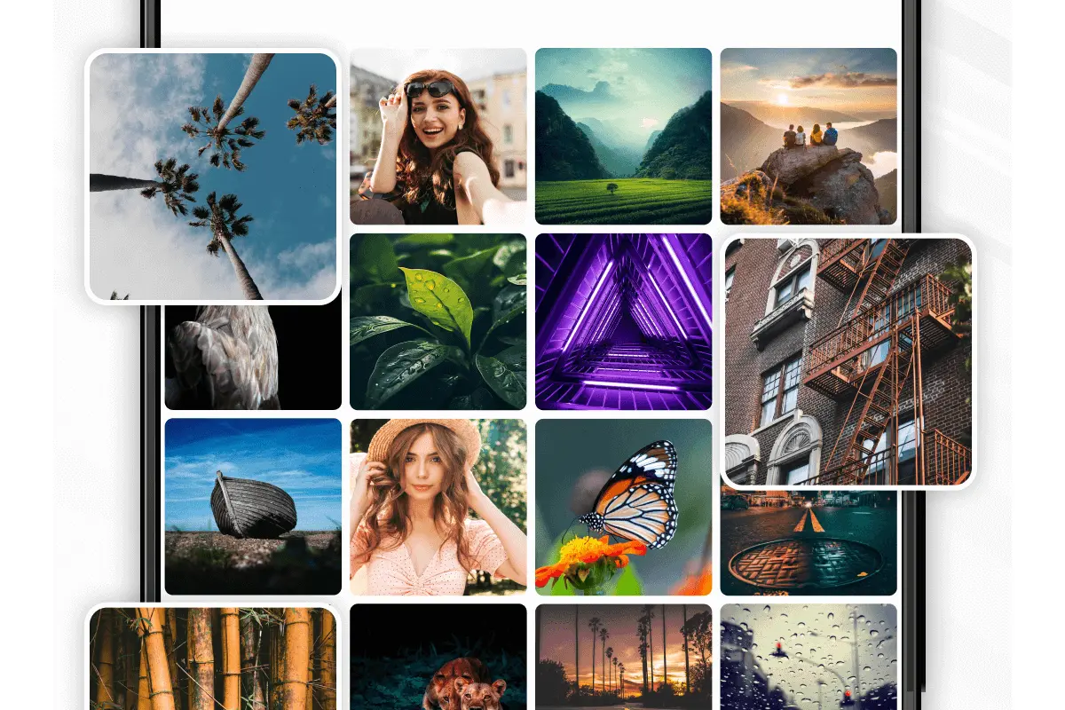 Samsung Gallary | Photo: Google Play