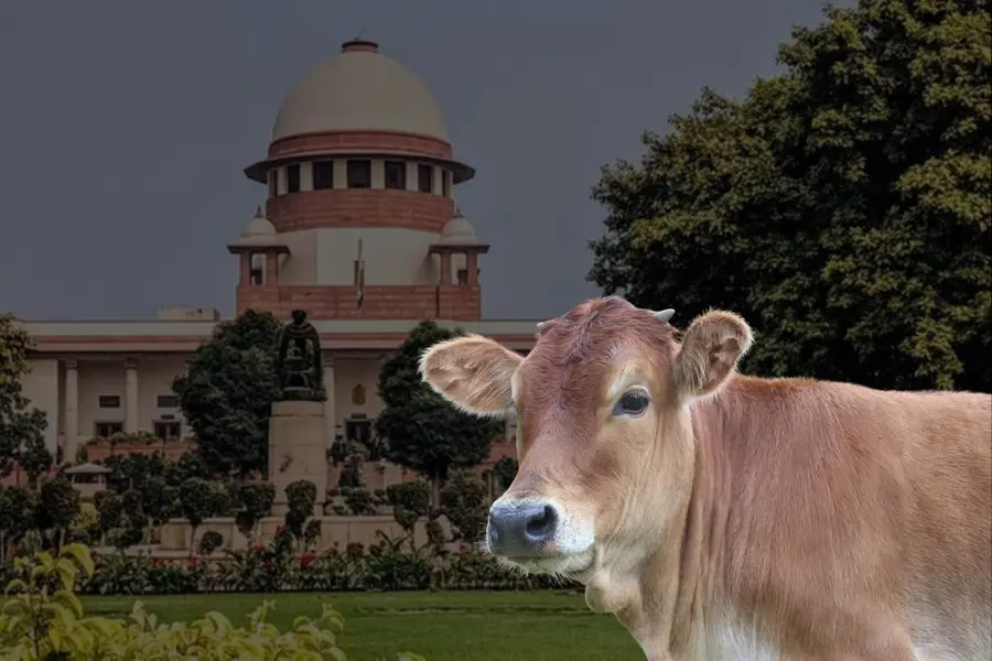 supreme court