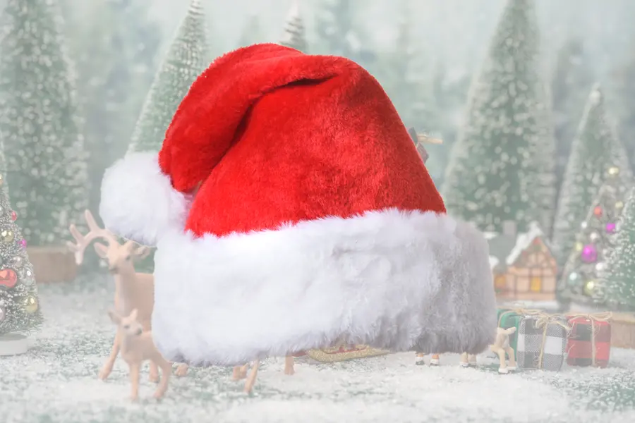 Santa Claus cap