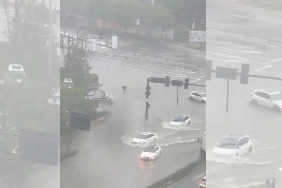 Flights cancelled, evacuations rolled out as Typhoon Dujuan hits Japan