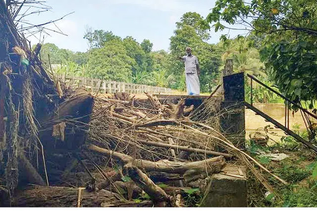 കളരിയാമ്മാക്കൽ പാലത്തിന് റോഡ്: അളക്കുംതോറും പ്രതീക്ഷയുണരും പക്ഷേ, സ്ഥിതി തഥൈവ