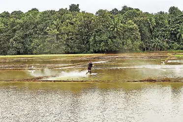 അനിശ്ചിതത്വം നീങ്ങി, നീറ്റുകക്കയെത്തി