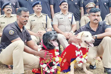ബഡിക്കും കാമിക്കും യാത്രയയപ്പ് നൽകി ജില്ലാ പോലീസ്