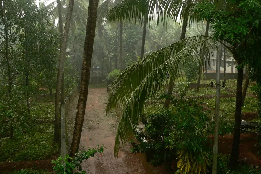 KeralaRain