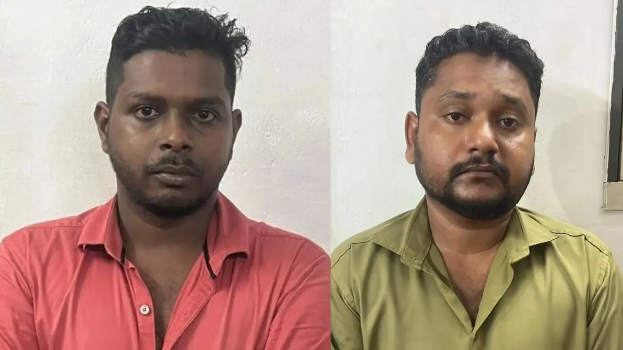 വിശാഖ് മോഹനന്, ആല്വിന് മാത്യു