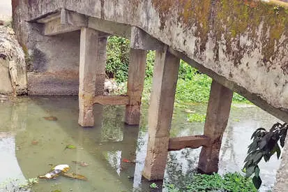 പദ്ധതികൾക്കു പഞ്ഞമില്ല; എന്നു തെളിയും കാർത്തികപ്പള്ളിത്തോട്