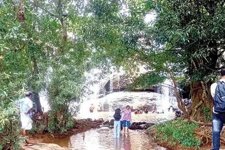 ആനചാടിക്കുത്ത്; അപകടം ചാടിയെത്തും കുത്ത്