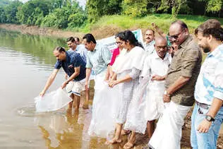 പഴശ്ശി പദ്ധതിയിൽ വളരും ലക്ഷം മത്സ്യക്കുഞ്ഞുങ്ങൾ