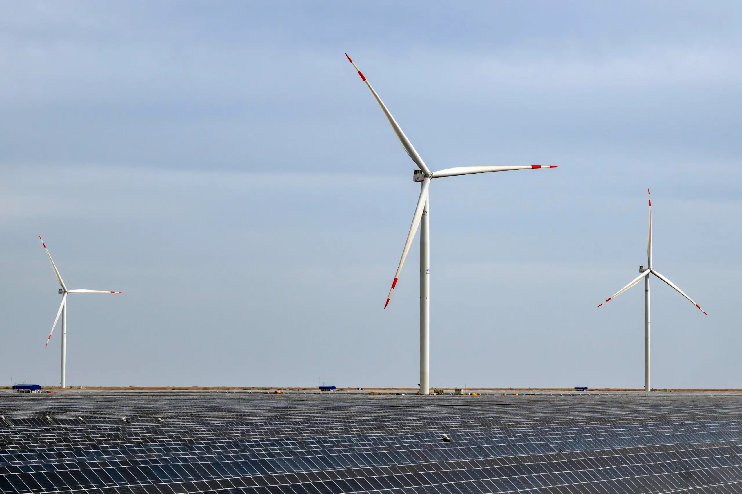 A vast solar power array with wind turbines at an Adani Green Energy renewable energy facility, in Kutch.| Photo: PTI