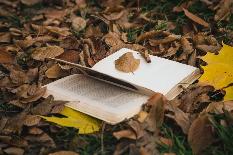 Autumn equinox 2026 today: Why September 23 marks a seasonal shift