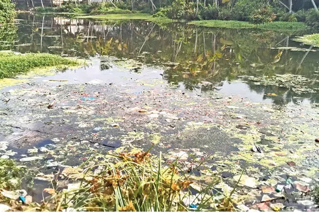 സംരക്ഷണത്തിന് പദ്ധതിയില്ല; മാലിന്യം നിറഞ്ഞ് കരിച്ചൽ കായൽ