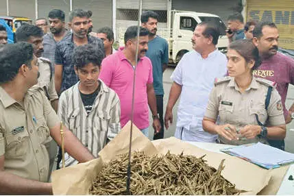 കാഞ്ഞിരപ്പള്ളിയിൽ കഞ്ചാവുമായി ഇതരസംസ്ഥാന തൊഴിലാളി പിടിയിൽ