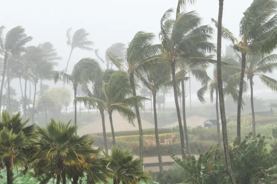 The curious case of Cyclone Arnab: A name in waiting as rain lashes eastern India