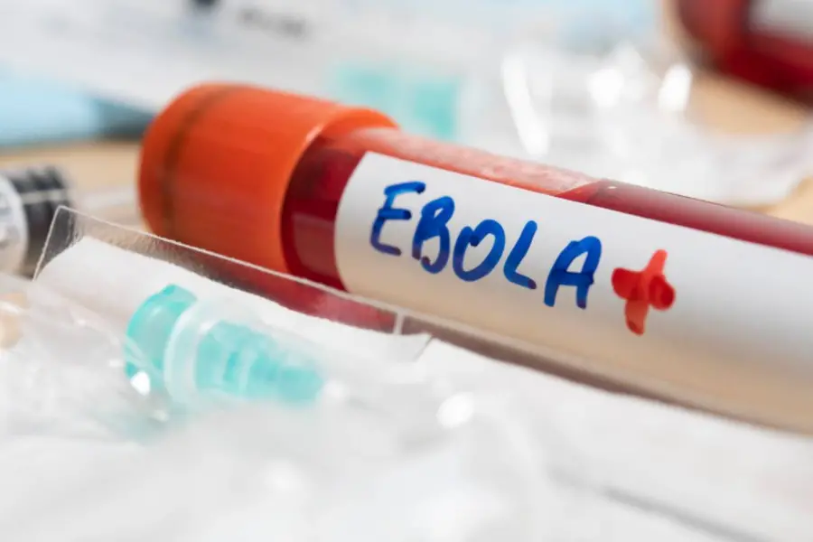 ebola