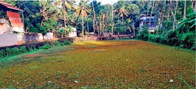 Photo from Mathrubhumi