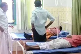 പെരുന്തേനീച്ചയുടെ കുത്തേറ്റ് 13 പേർക്ക് പരിക്ക്