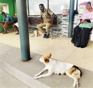 Photo: Mathrubhumi