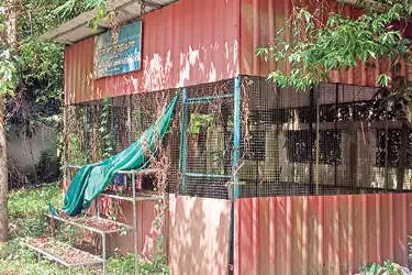 കാടുകയറി പൂമംഗലം ഗ്രാമച്ചന്ത