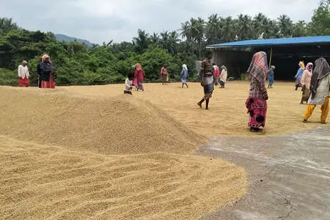 കൊയ്ത്ത് കഴിഞ്ഞു; സംഭരണമായില്ല