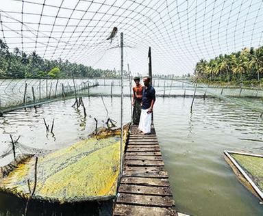 Photo from Mathrubhumi
