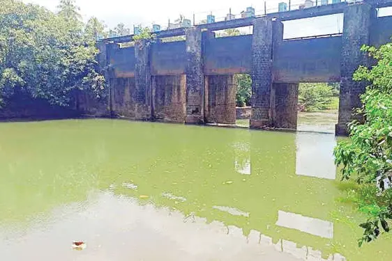 എന്തിന് നശിപ്പിക്കുന്നു